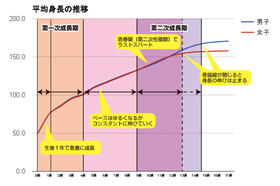 止まる サイン 身長